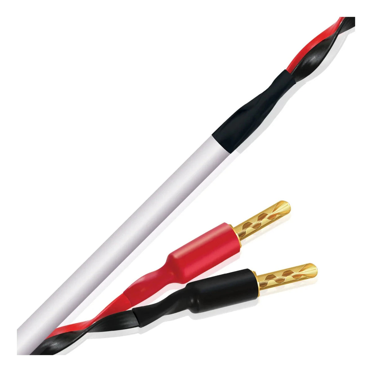 Wireworld Stream 10 (STS)Speaker Cable - Ultra Sound & Vision