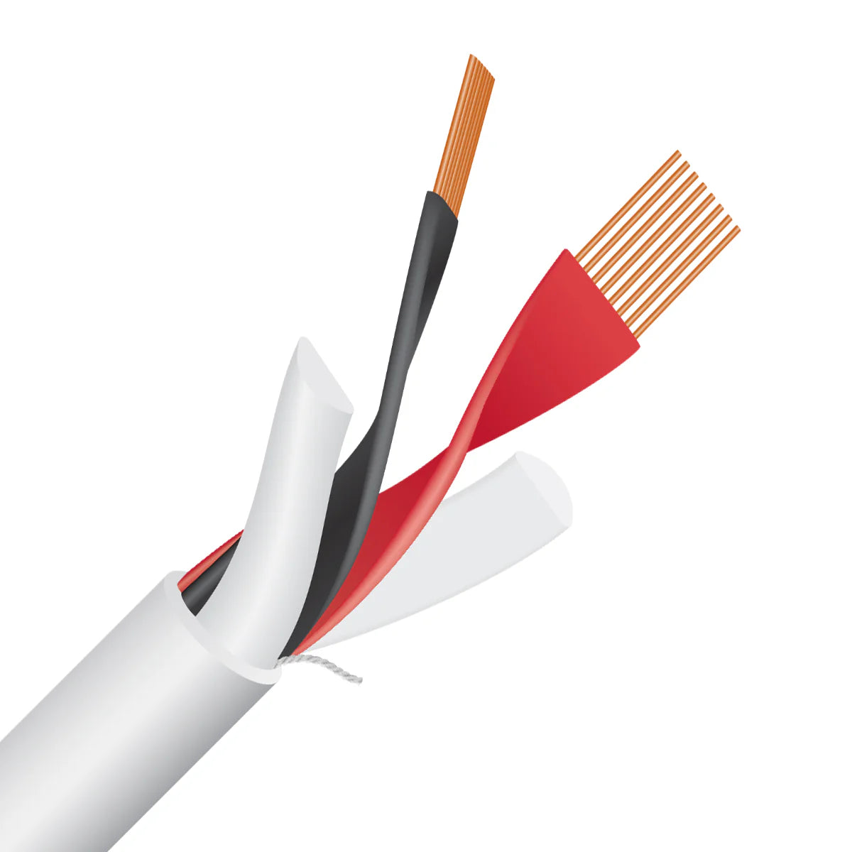 Wireworld Stream 10 (STS)Speaker Cable - Ultra Sound & Vision