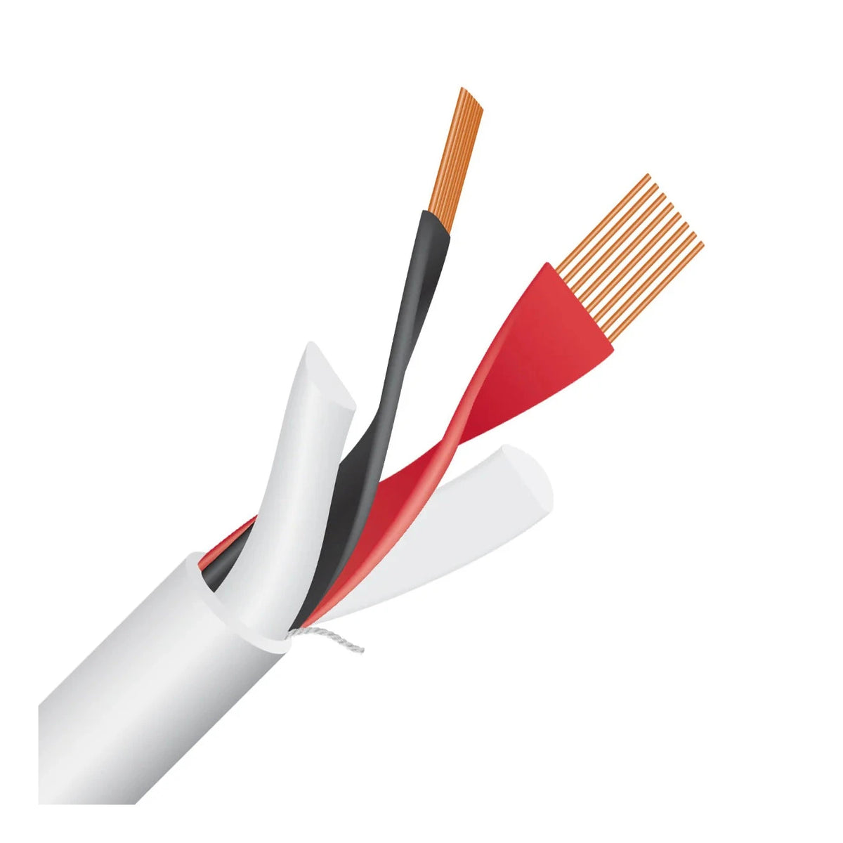 Wireworld Stream 10 (STS)Speaker Cable - Ultra Sound & Vision