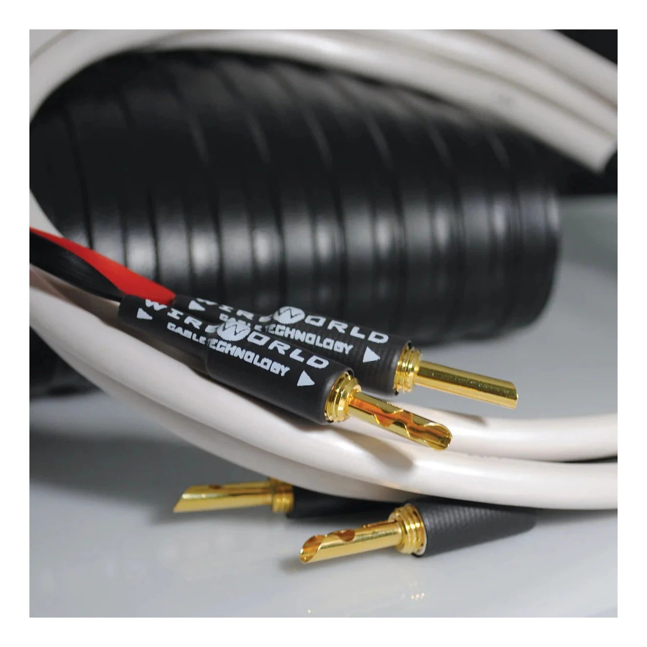 Wireworld Stream 10 (STS)Speaker Cable - Ultra Sound & Vision