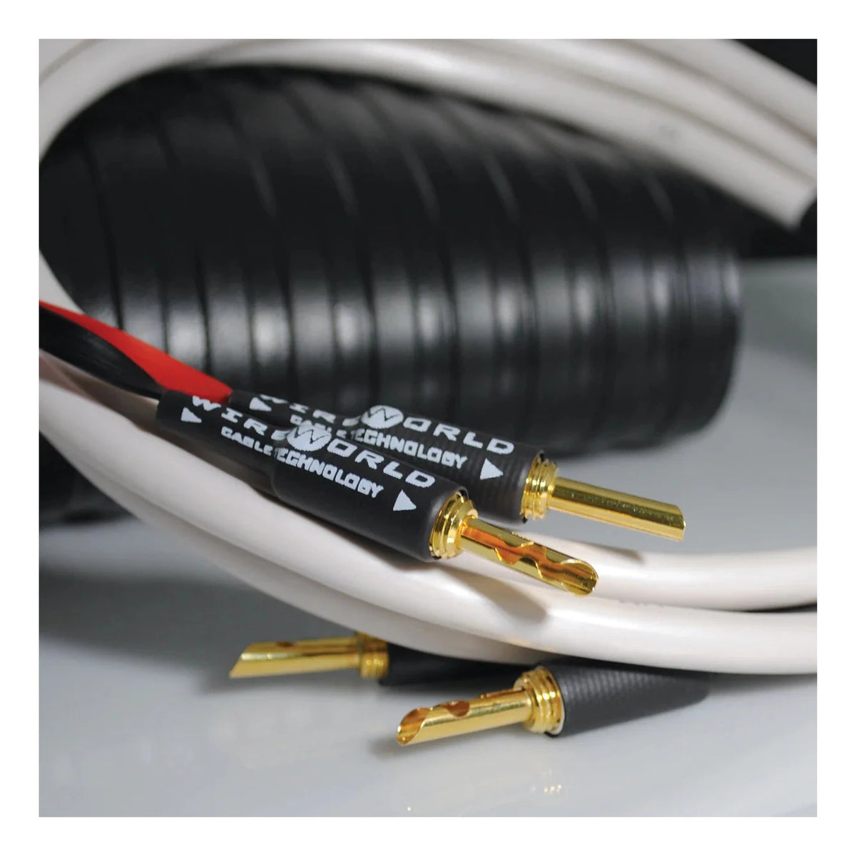 Wireworld Stream 10 (STS)Speaker Cable - Ultra Sound & Vision