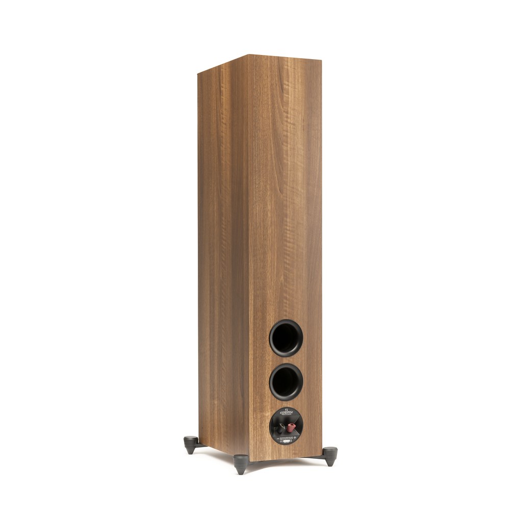 MartinLogan Motion Foundation F2