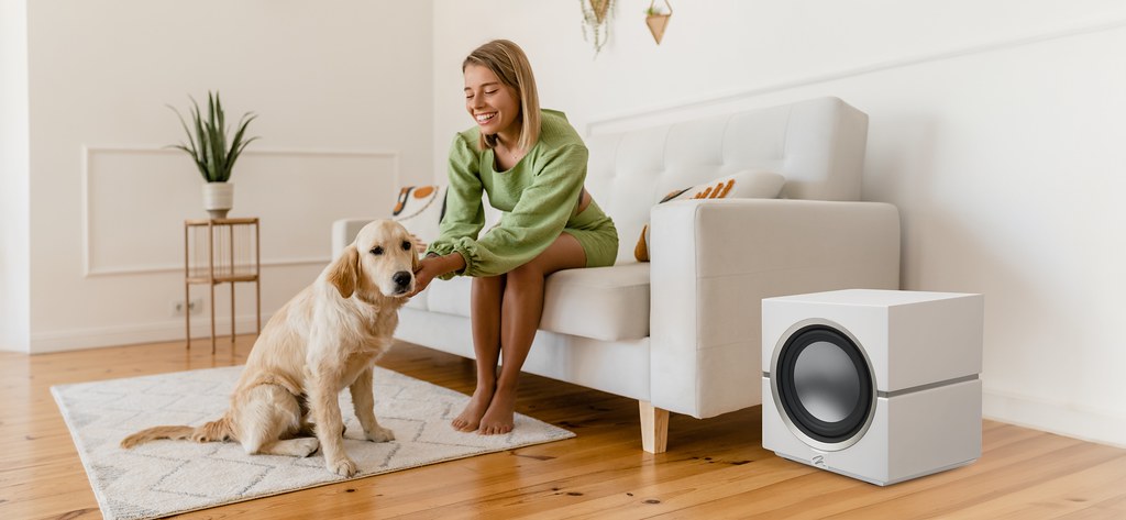 MartinLogan Dynamo 10 Subwoofer - Ultra Sound & Vision