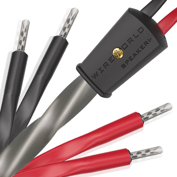 Wireworld Equinox 10(EQS) Speaker Cable - Ultra Sound & Vision