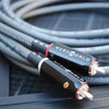 Wireworld Equinox 10 (EQI) Audio Interconnect Cable - Ultra Sound & Vision