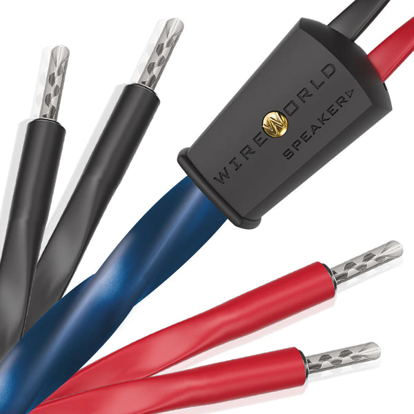 Wireworld Oasis 10(OAS) Speaker Cable - Ultra Sound & Vision