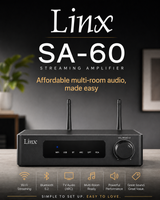 Linx SA-60 Streaming Amplifier - Ultra Sound & Vision