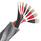 Wireworld Silver Eclipse 10 (SES) Speaker Cable - Ultra Sound & Vision