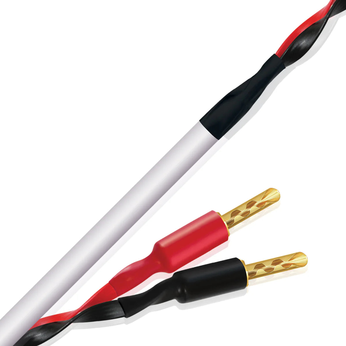 Wireworld Stream 10 (STS)Speaker Cable - Ultra Sound & Vision