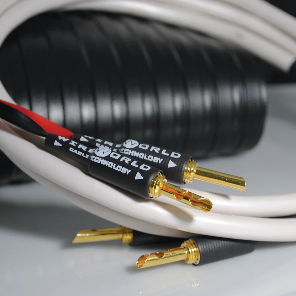 Wireworld Stream 10 (STS)Speaker Cable - Ultra Sound & Vision