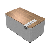 Klipsch The Three Plus Bluetooth Speaker - Ultra Sound & Vision