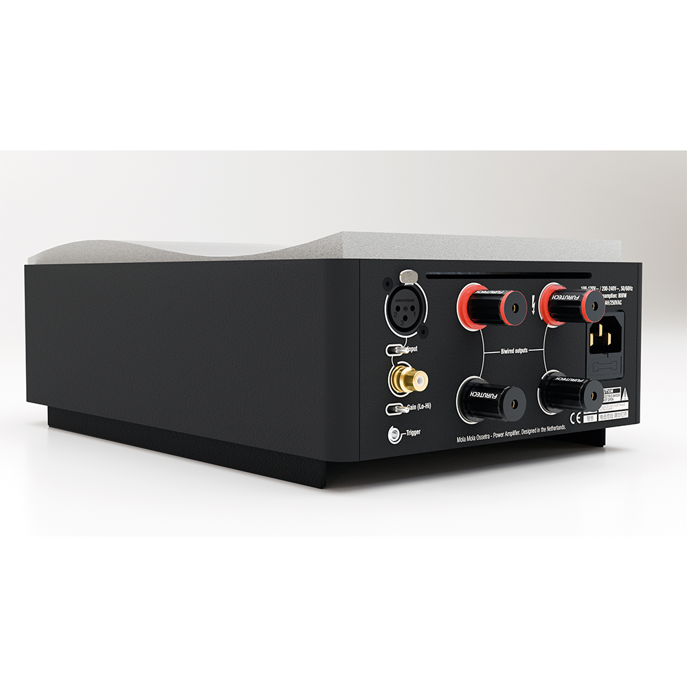 Mola Mola Ossetra Monoblock Power Amplifier - Class D Audiophile Amplifier - Pair