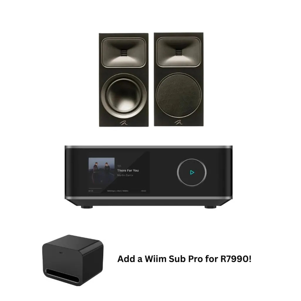Martin Logan B2 with ULTRA AMP(Black) - Ultra Sound & Vision