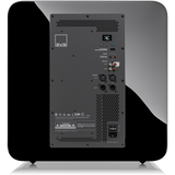 SVS 17-Ultra R|Evolution rear amplifier