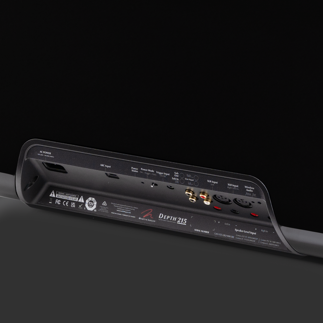 MartinLogan Depth 215 Subwoofer connections - Ultra Sound & Vision