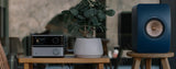 WiiM Vibelink Amp - Ultra Sound & Vision