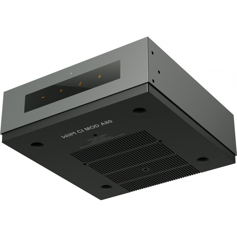 WiiM CI MOD A80 Custom Install Amplifier Module - Ultra Sound & Vision