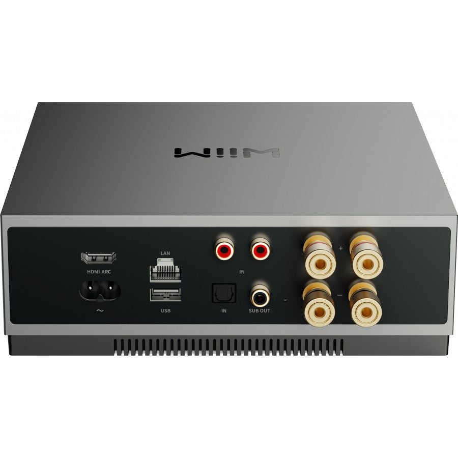 WiiM CI MOD A80 Custom Install Amplifier Module - Ultra Sound & Vision