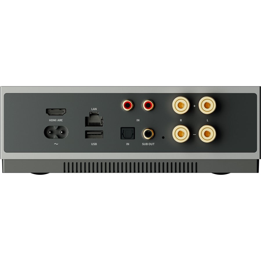 WiiM CI MOD A80 Custom Install Amplifier Module - Ultra Sound & Vision