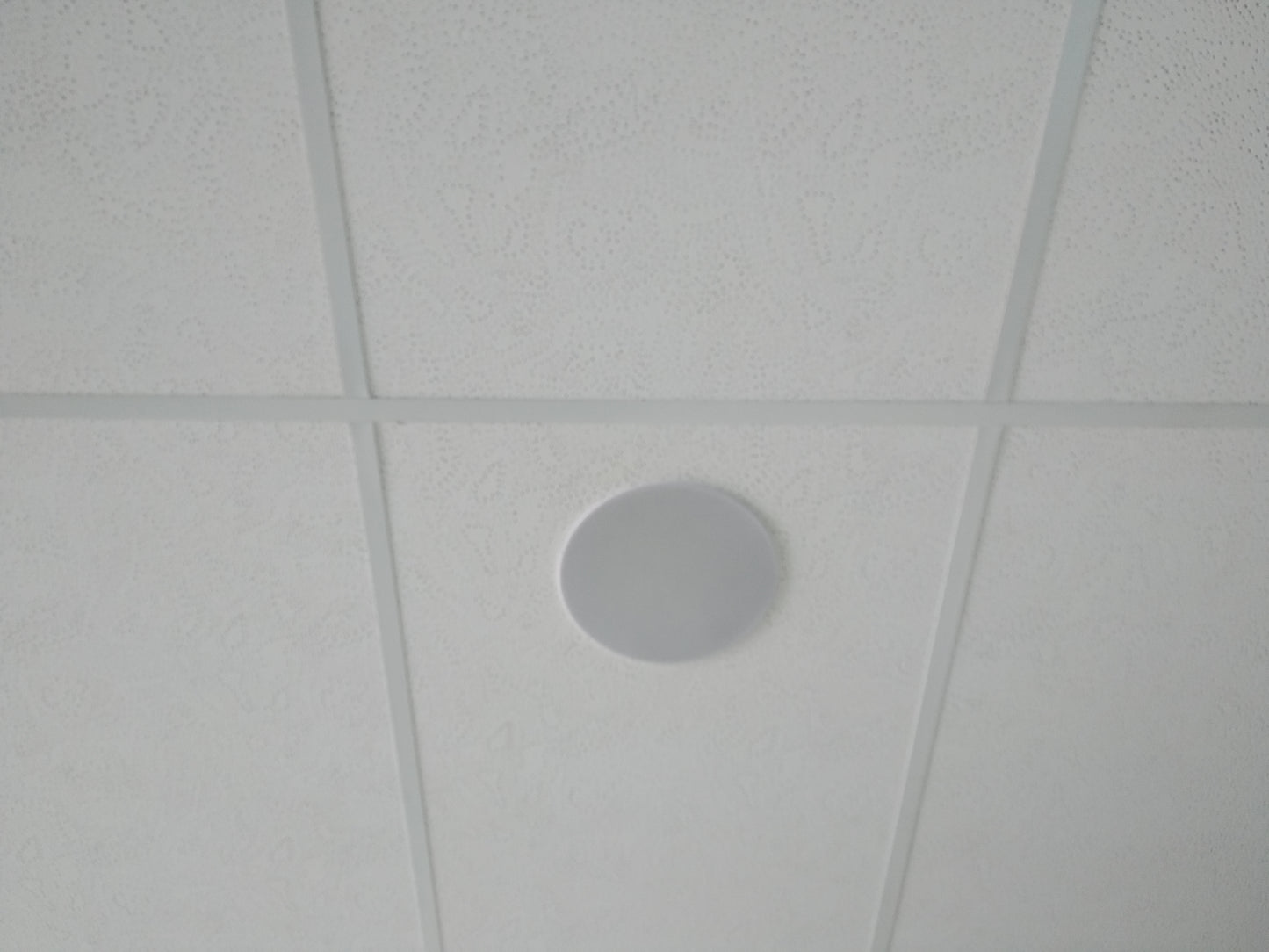 Acoustic Ceiling Panels - Ultra Sound & Vision